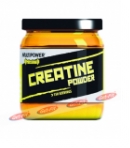 MULTIPOWER Creatin Powder (500g)
